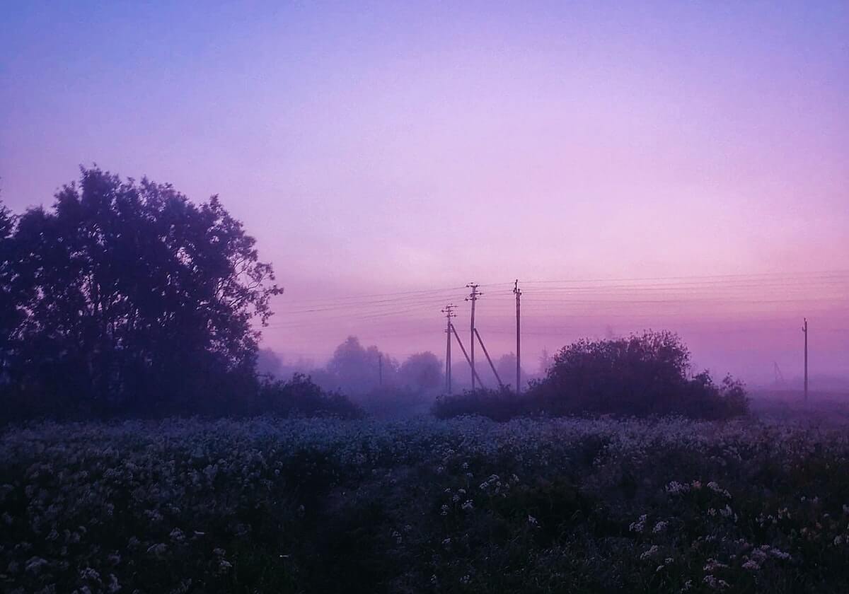 LeyuSports：点亮每一步的力量